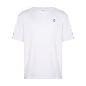 Camiseta Masculina Porto GG